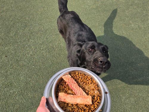 슬라이드 이미지