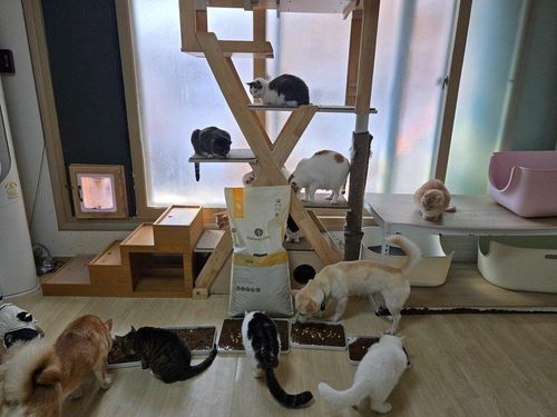 슬라이드 이미지