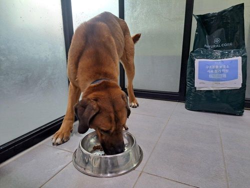 슬라이드 이미지