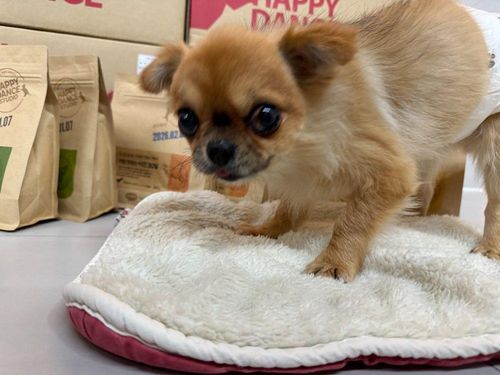 슬라이드 이미지