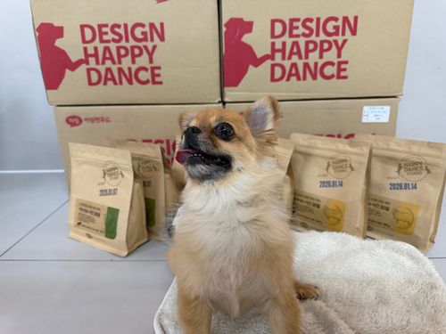 슬라이드 이미지