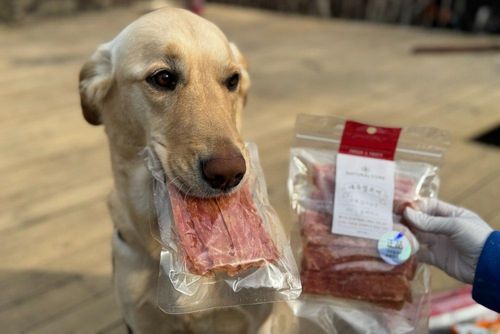 슬라이드 이미지