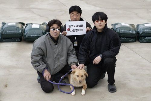 슬라이드 이미지