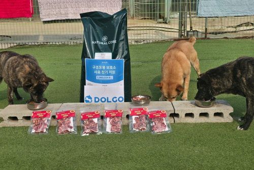 슬라이드 이미지