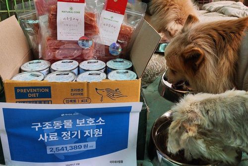 슬라이드 이미지