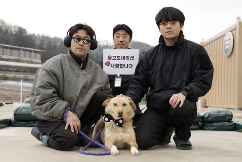 슬라이드 이미지