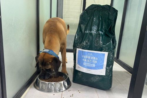 슬라이드 이미지