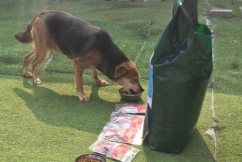 슬라이드 이미지