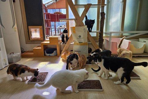 슬라이드 이미지