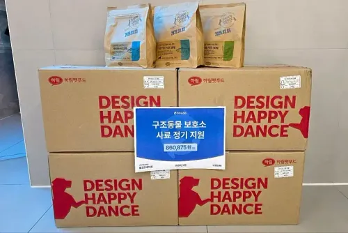 슬라이드 이미지