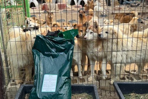 슬라이드 이미지