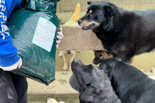 슬라이드 이미지