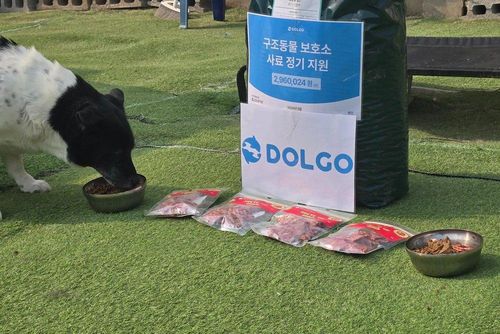 슬라이드 이미지