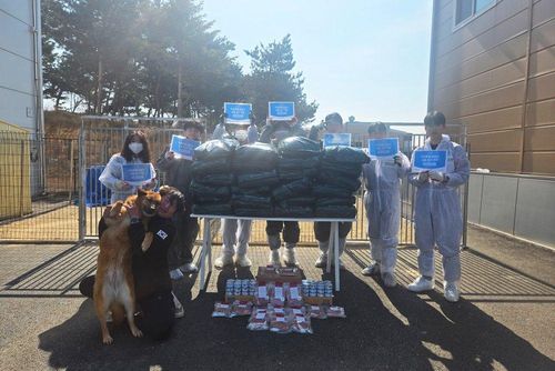 슬라이드 이미지