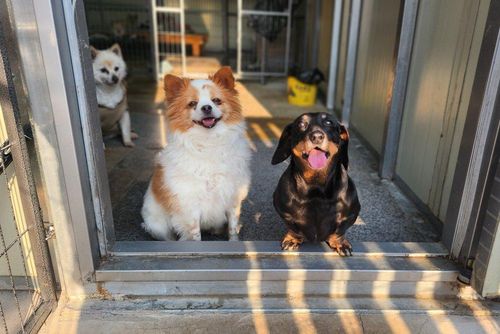 슬라이드 이미지