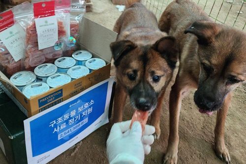 슬라이드 이미지