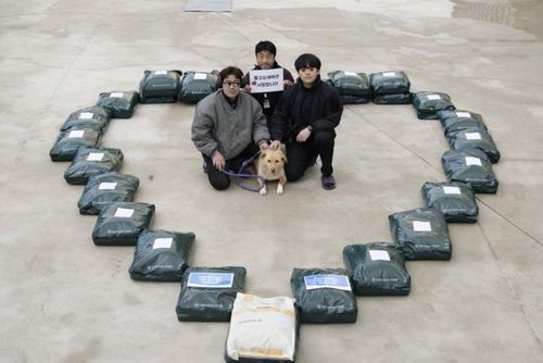 슬라이드 이미지