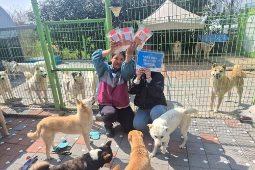 슬라이드 이미지