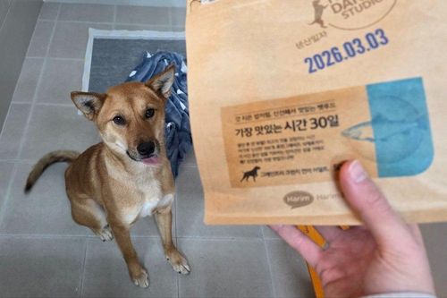 슬라이드 이미지