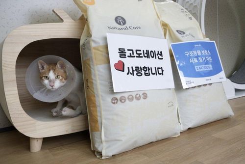 슬라이드 이미지