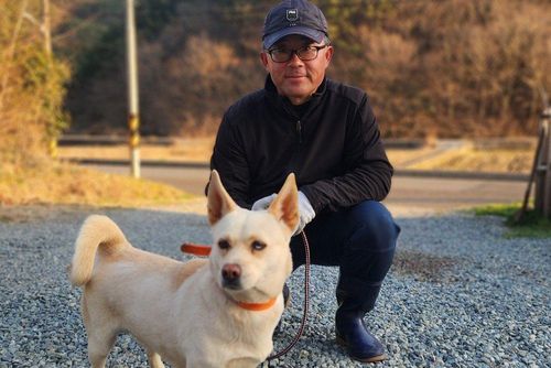 슬라이드 이미지