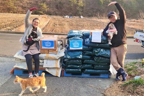 슬라이드 이미지