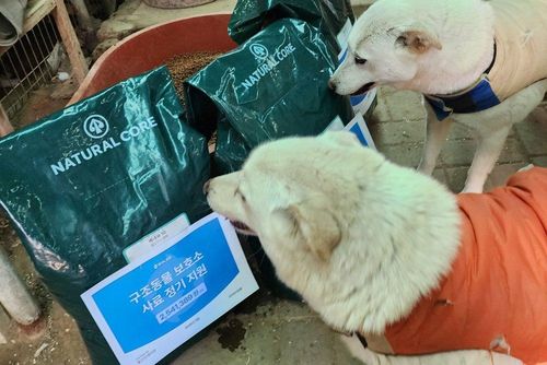 슬라이드 이미지