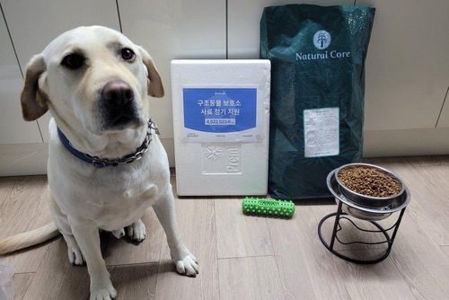 슬라이드 이미지