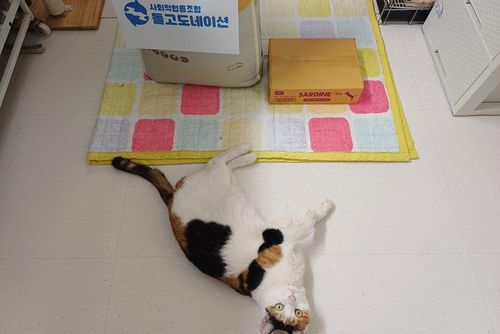 슬라이드 이미지