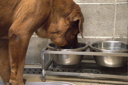 슬라이드 이미지