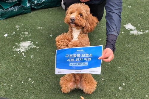 슬라이드 이미지