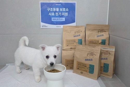 슬라이드 이미지