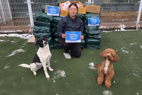 슬라이드 이미지