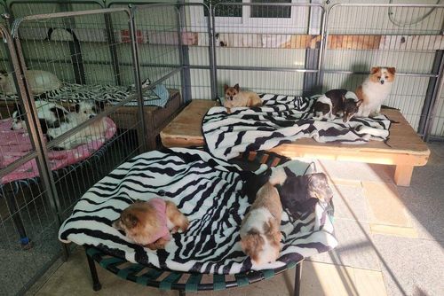 슬라이드 이미지