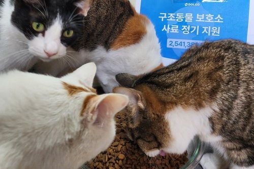 슬라이드 이미지