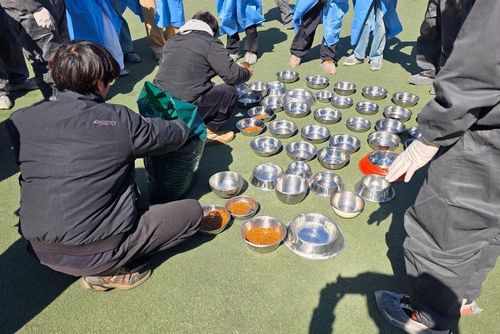 슬라이드 이미지