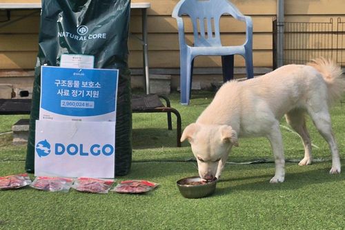 슬라이드 이미지