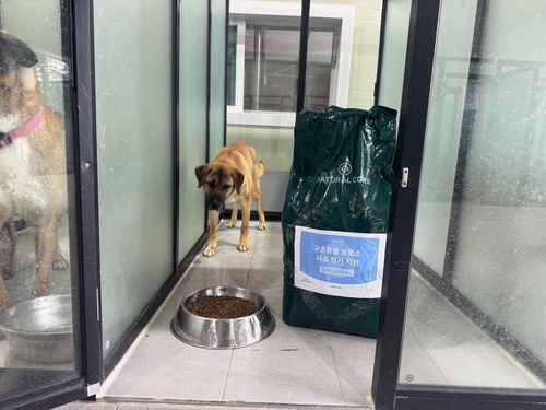 슬라이드 이미지