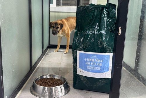 슬라이드 이미지