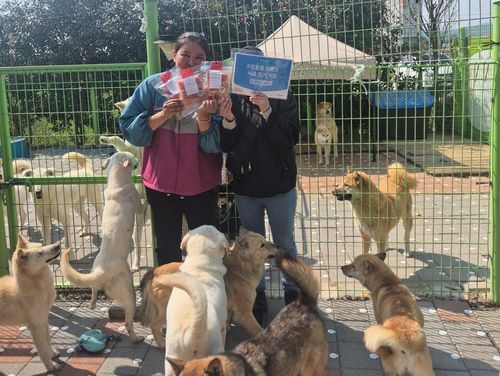 슬라이드 이미지