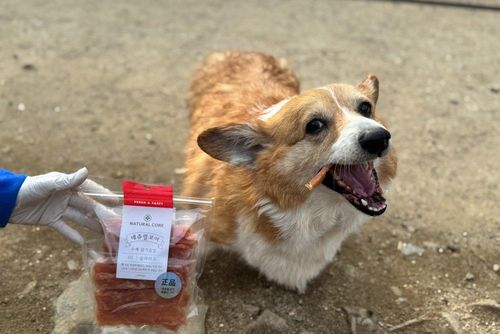 슬라이드 이미지