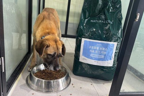 슬라이드 이미지