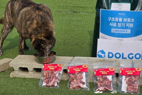 슬라이드 이미지