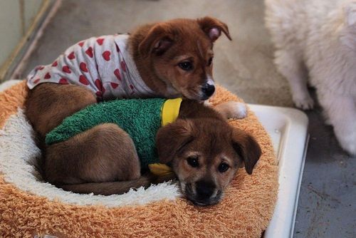 슬라이드 이미지