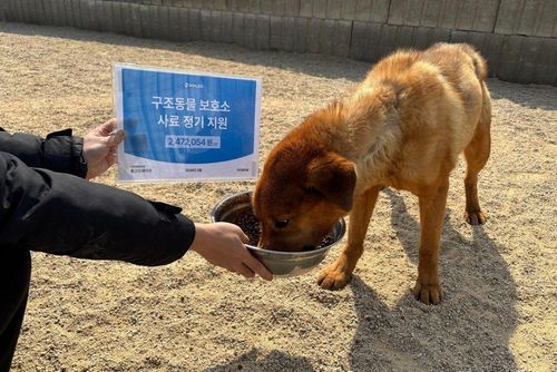 슬라이드 이미지