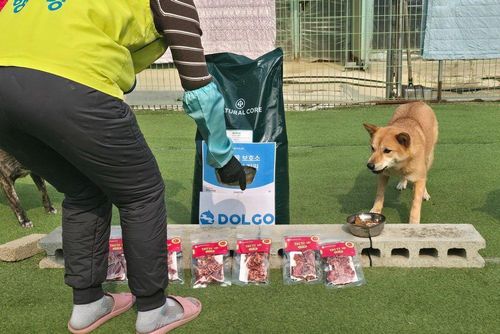 슬라이드 이미지