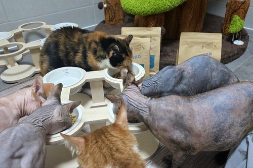 슬라이드 이미지