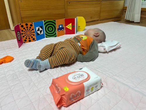 슬라이드 이미지