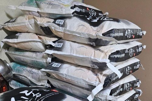 슬라이드 이미지