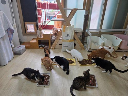 슬라이드 이미지